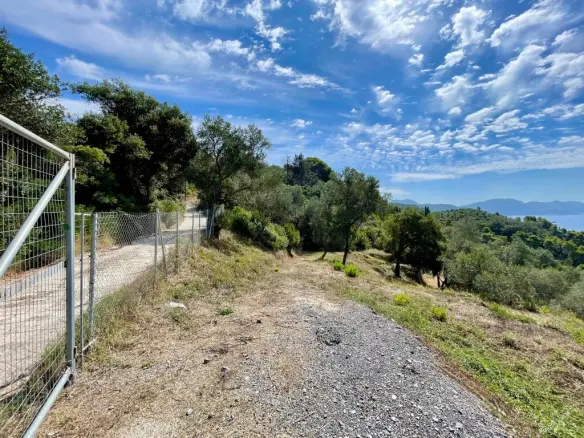 Land Of 8000 M² In Corfu