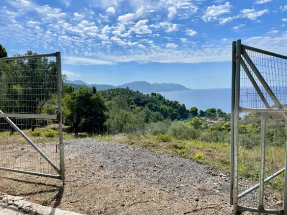 Land Of 8000 M² In Corfu