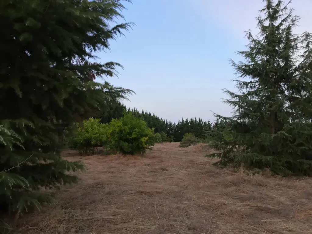 Land Of 4350 M² In The Suburbs Of Thessaloniki