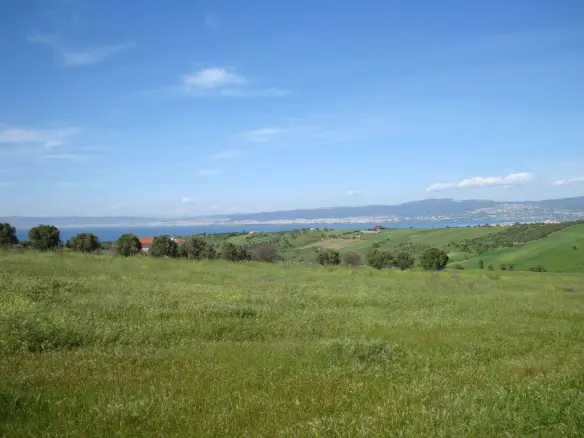 Land Of 4770 M² In The Suburbs Of Thessaloniki