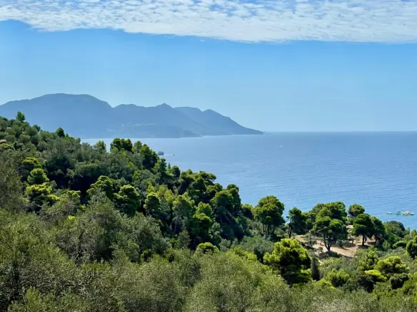 Land Of 8000 M² In Corfu
