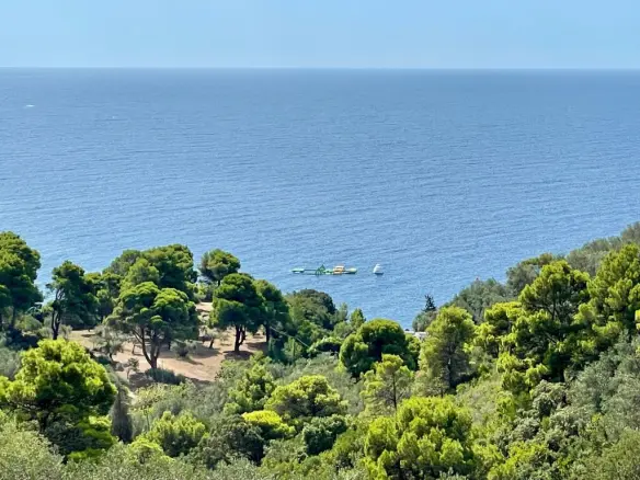 Land Of 8000 M² In Corfu