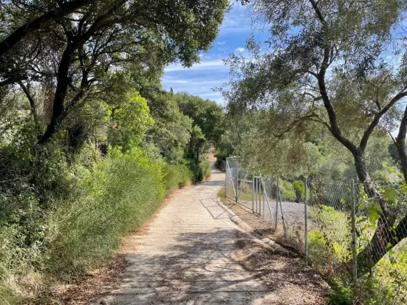 Land Of 8000 M² In Corfu