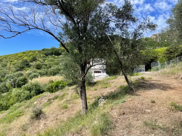 Land Of 8000 M² In Corfu