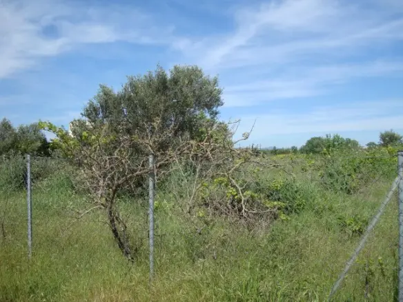 Land Of 4000 M² In The Suburbs Of Thessaloniki