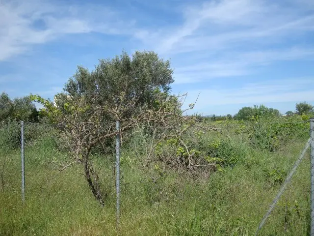 Land Of 4000 M² In The Suburbs Of Thessaloniki