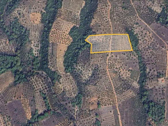 Land In Sithonia, Greece