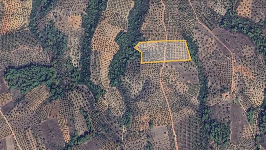 Land Of 27000 M² In Sithonia, Chalkidiki