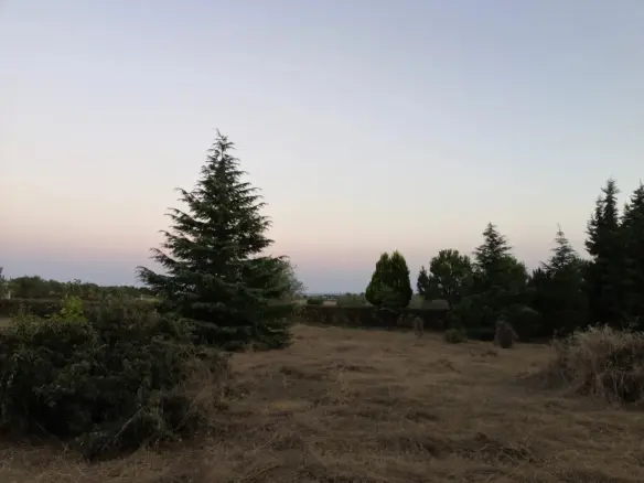 For Sale Land 4350 M² In The Suburbs Of Thessaloniki