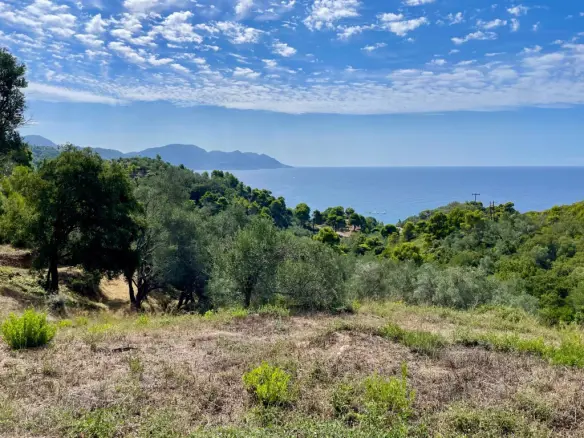 Land Of 8000 M² In Corfu