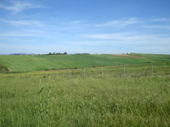 Land Of 4100 M² In The Suburbs Of Thessaloniki