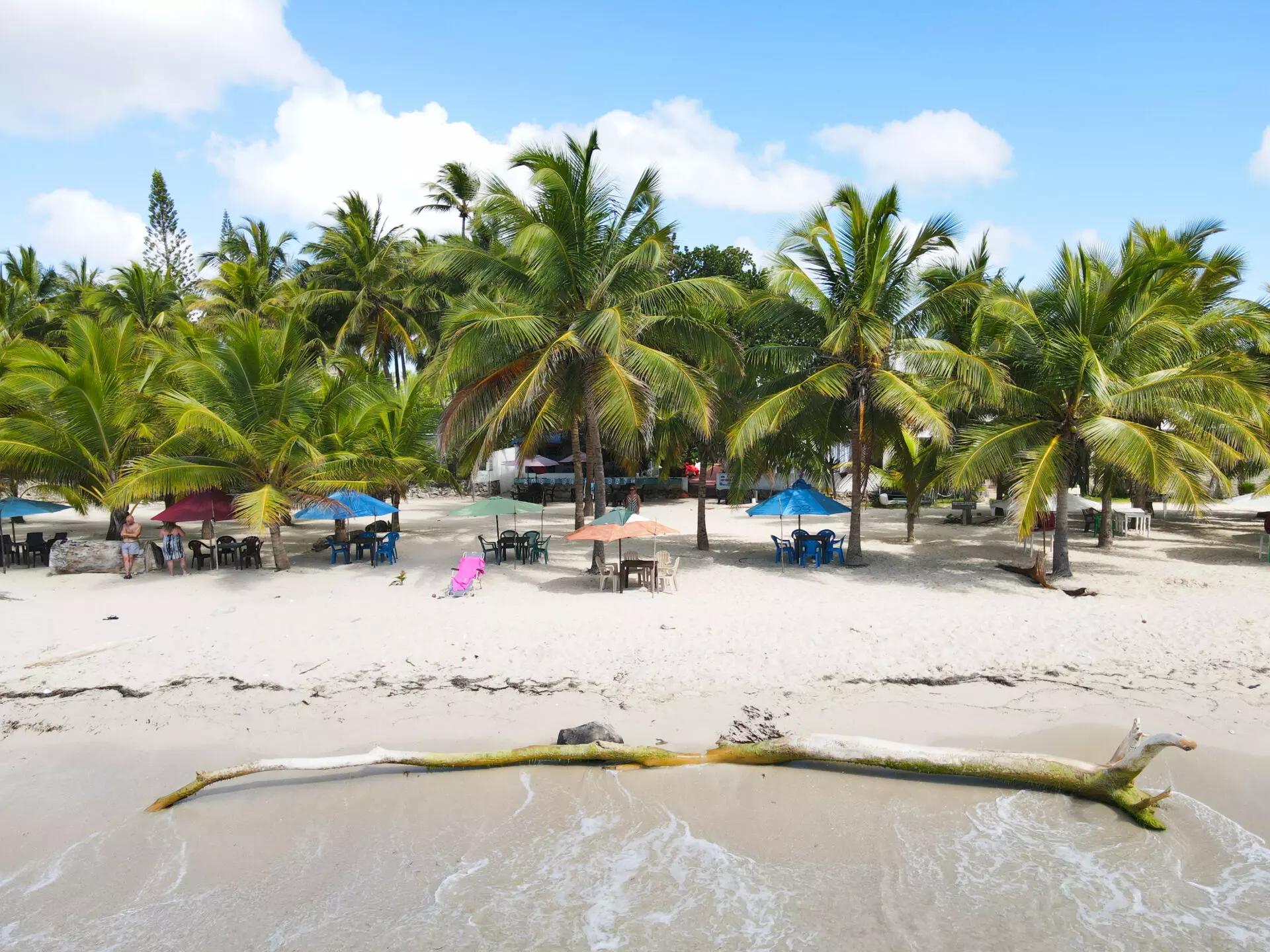 Apartment Of 100 M² With Beachfront In Dominican Republic