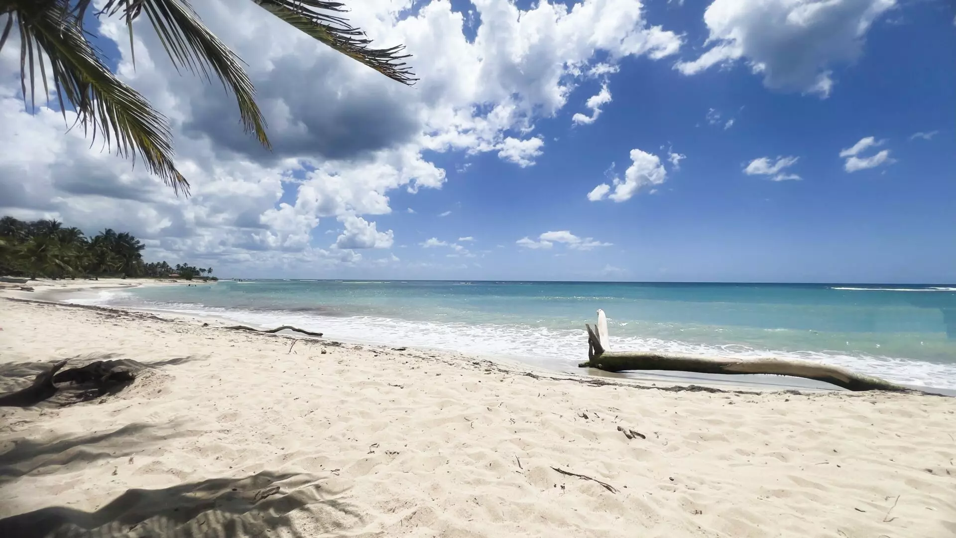 Apartment Of 100 M² With Beachfront In Dominican Republic