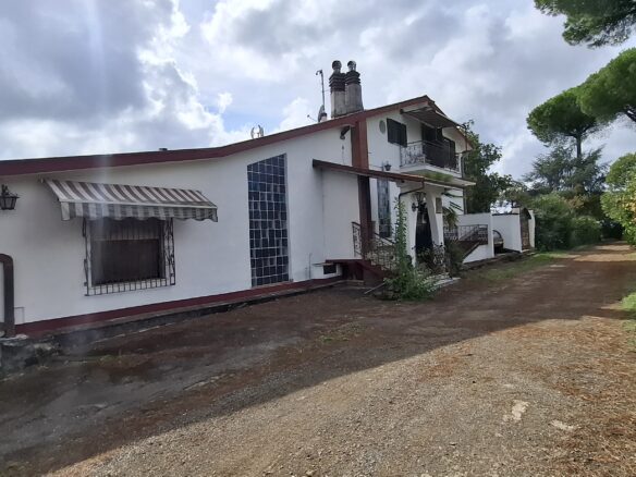 Villa Of 500 M² With Vineyard, Olive Grove And Swimming Pool In Wine Country Near Rome
