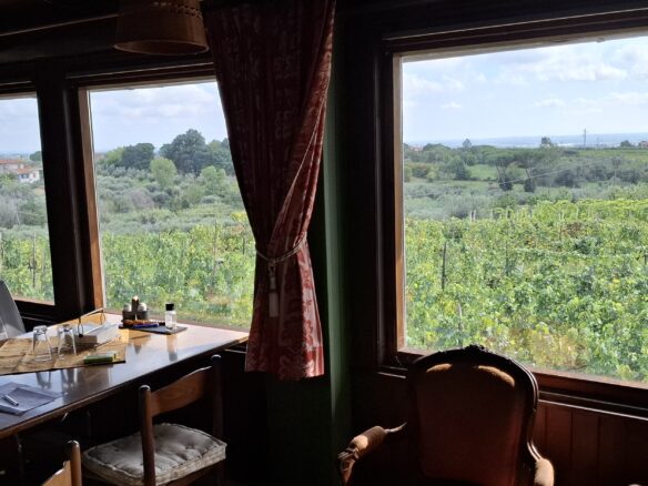 Villa Of 500 M² With Vineyard, Olive Grove And Swimming Pool In Wine Country Near Rome