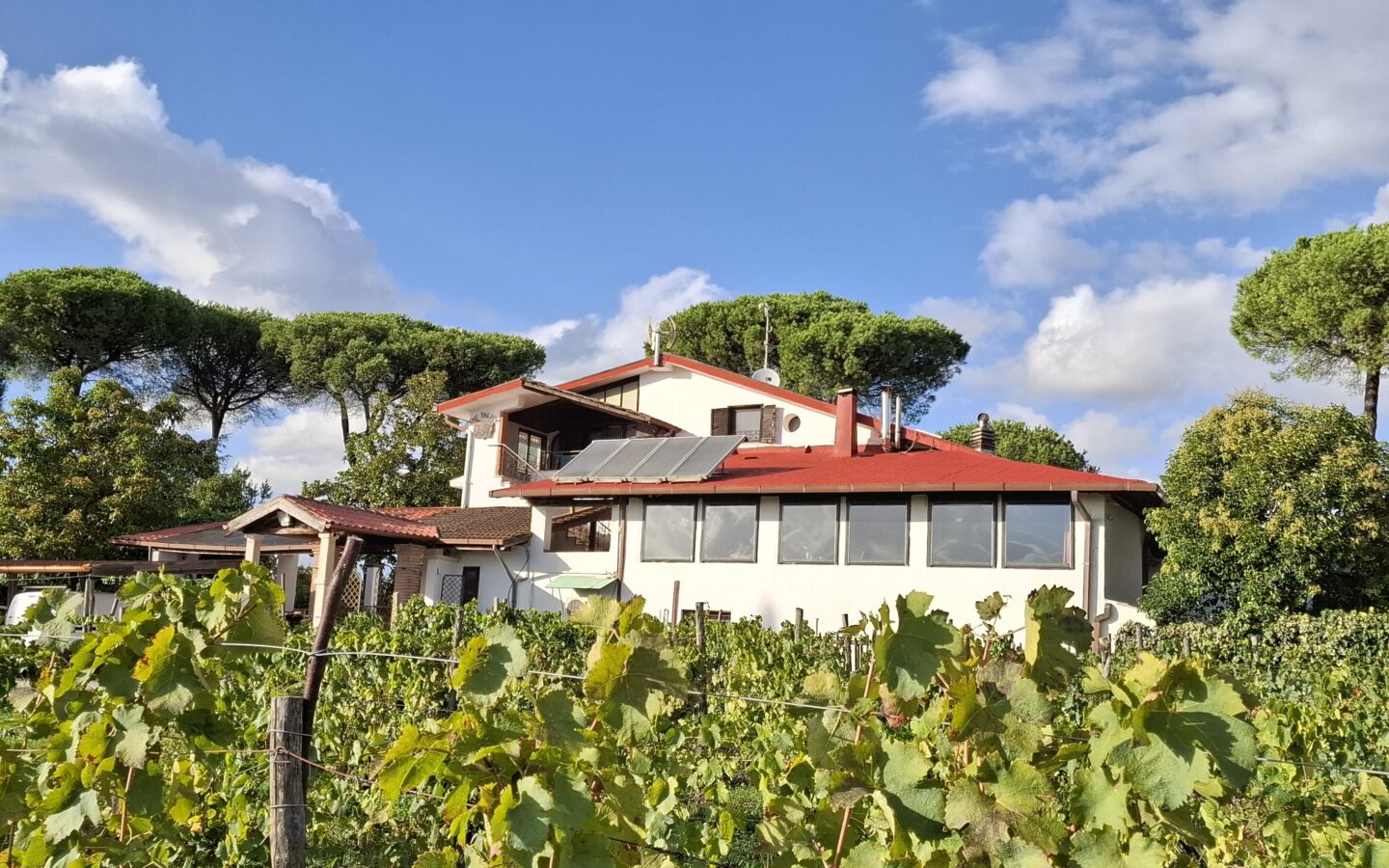 Villa Of 500 M² With Vineyard, Olive Grove And Swimming Pool In Wine Country Near Rome