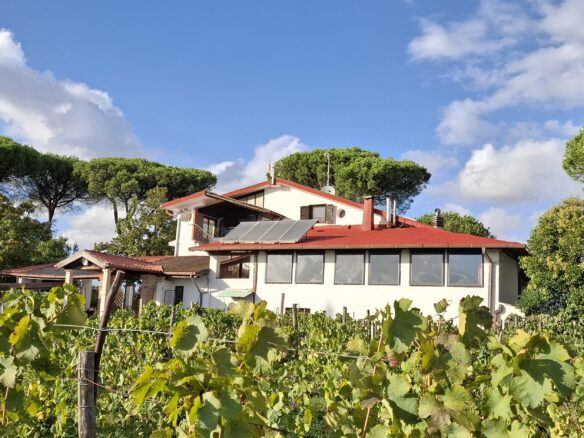 Villa Of 500 M² With Vineyard, Olive Grove And Swimming Pool In Wine Country Near Rome