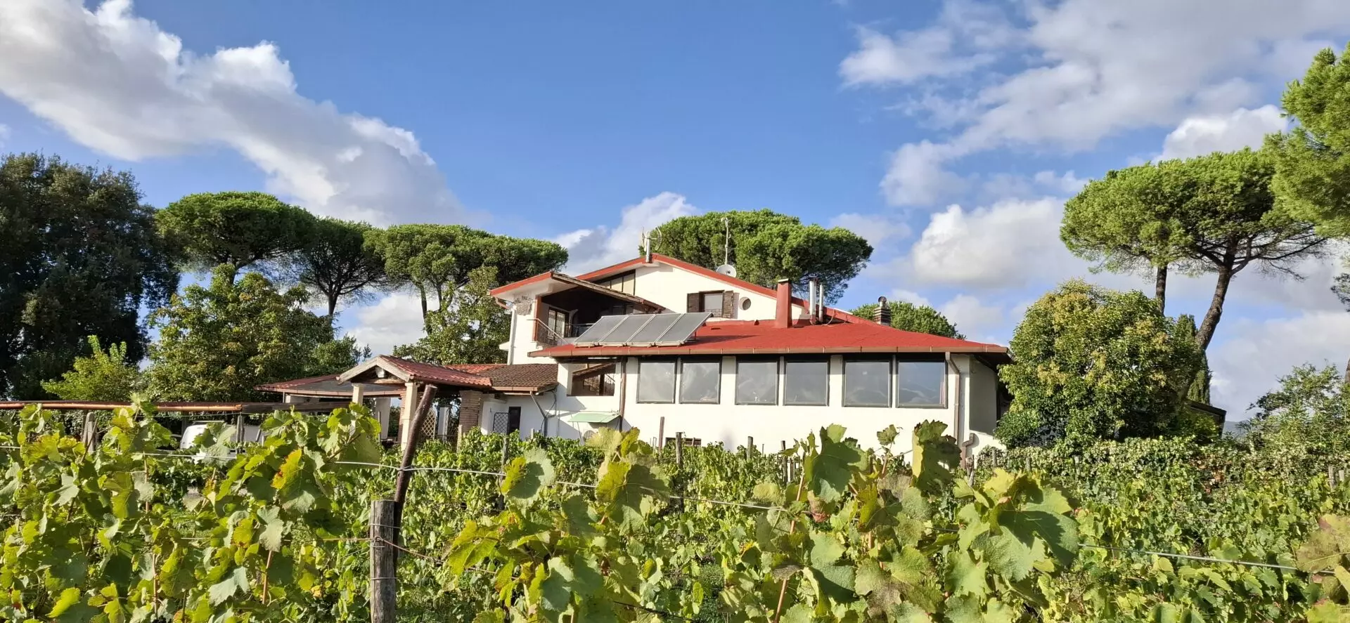 Villa Of 500 M² With Vineyard, Olive Grove And Swimming Pool In Wine Country Near Rome