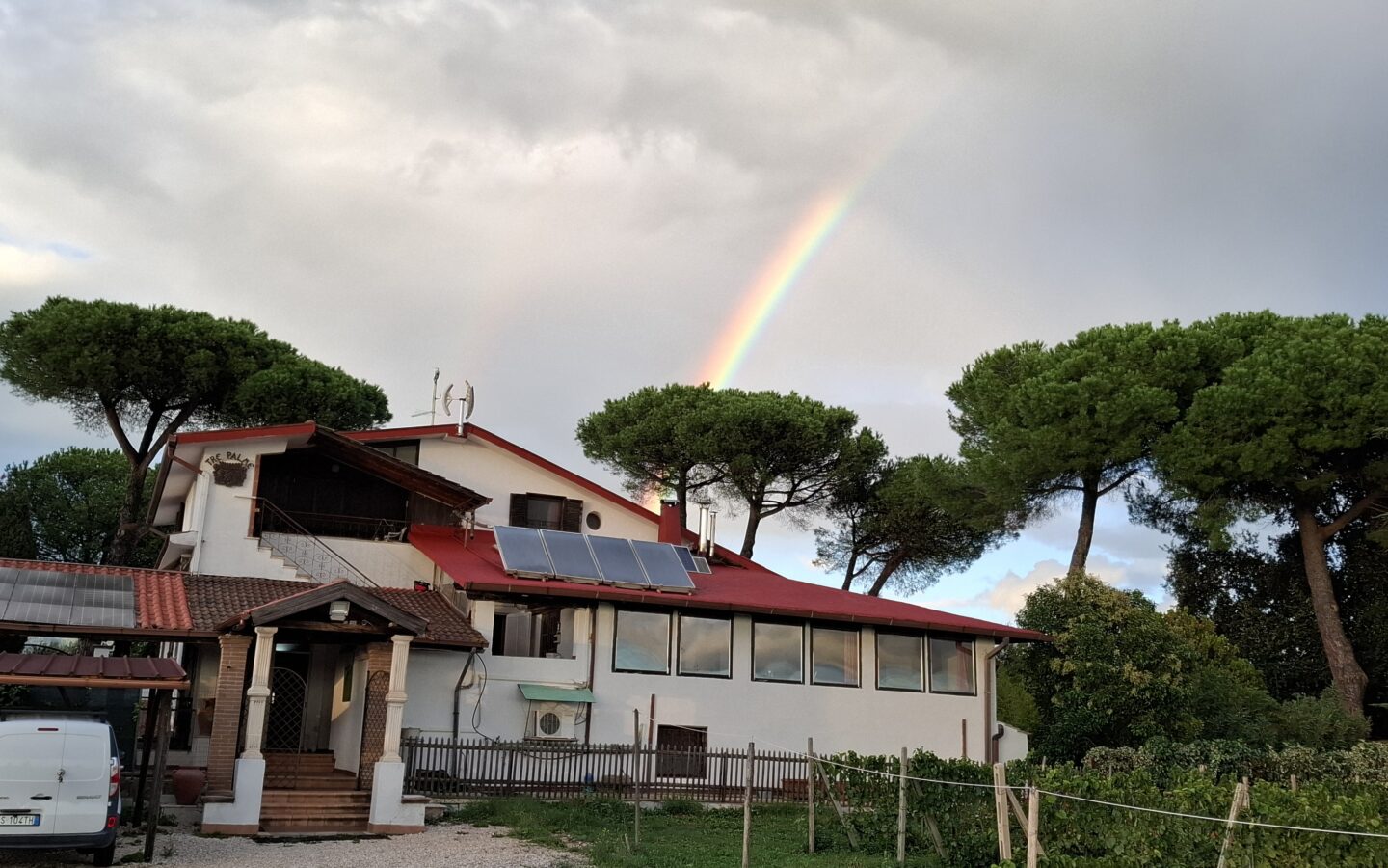 Villa Of 500 M² With Vineyard, Olive Grove And Swimming Pool In Wine Country Near Rome