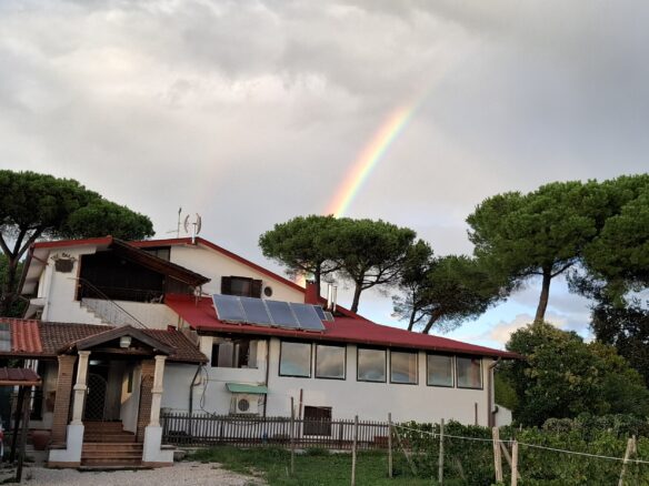 Villa Of 500 M² With Vineyard, Olive Grove And Swimming Pool In Wine Country Near Rome