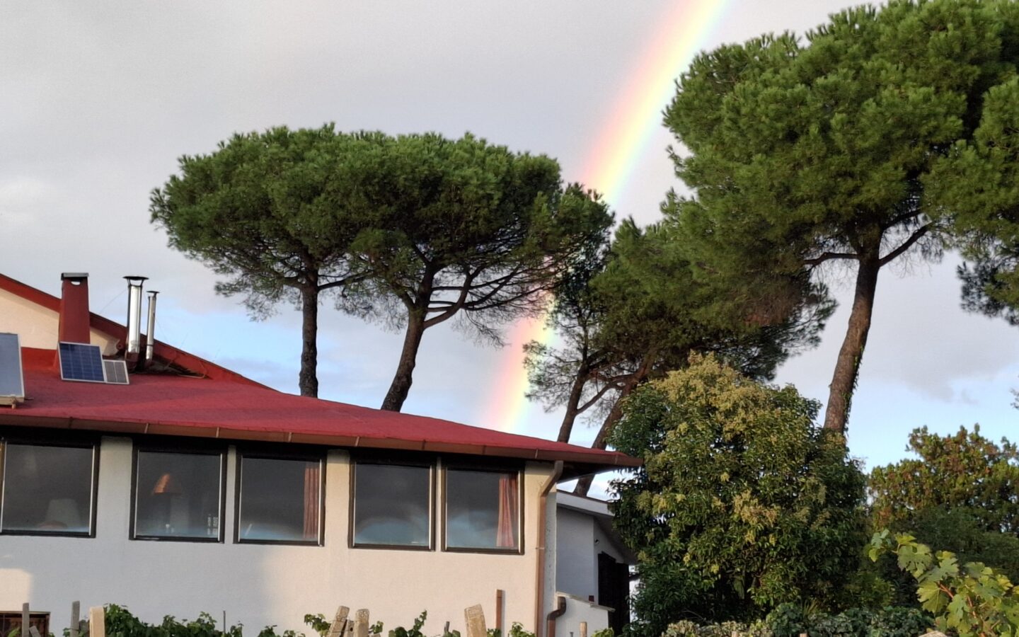 Villa Of 500 M² With Vineyard, Olive Grove And Swimming Pool In Wine Country Near Rome