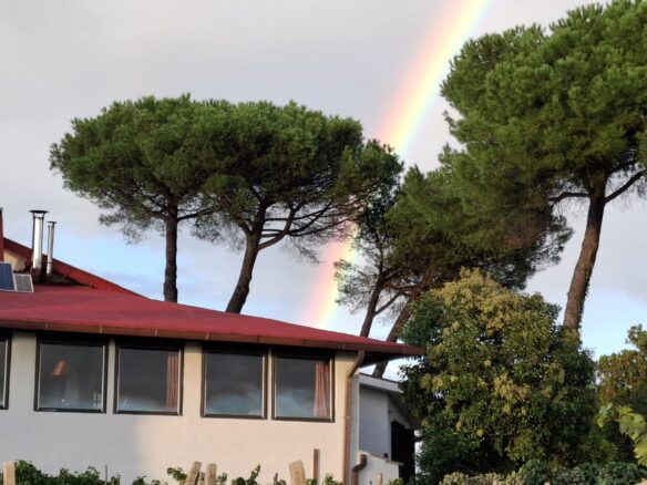 Villa Of 500 M² With Vineyard, Olive Grove And Swimming Pool In Wine Country Near Rome