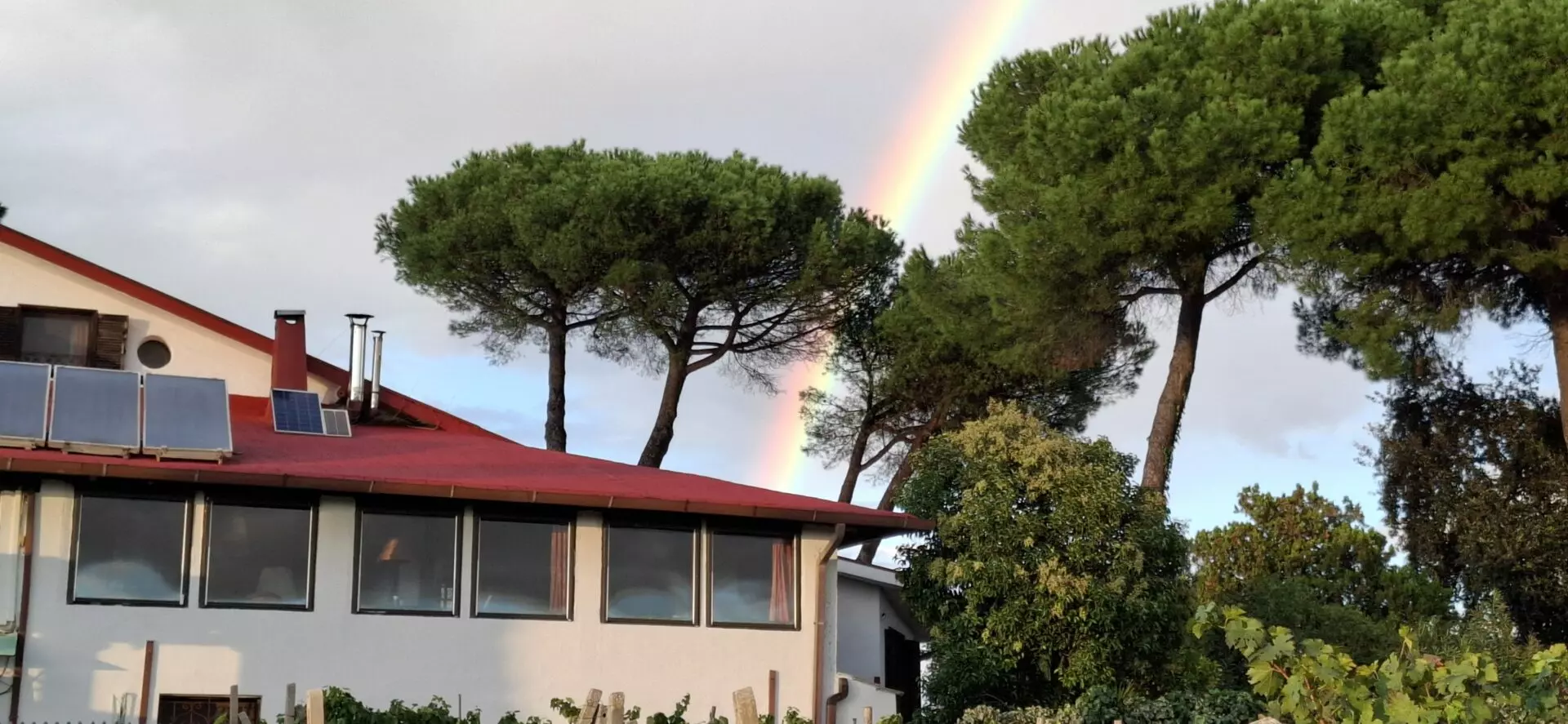 Villa Of 500 M² With Vineyard, Olive Grove And Swimming Pool In Wine Country Near Rome