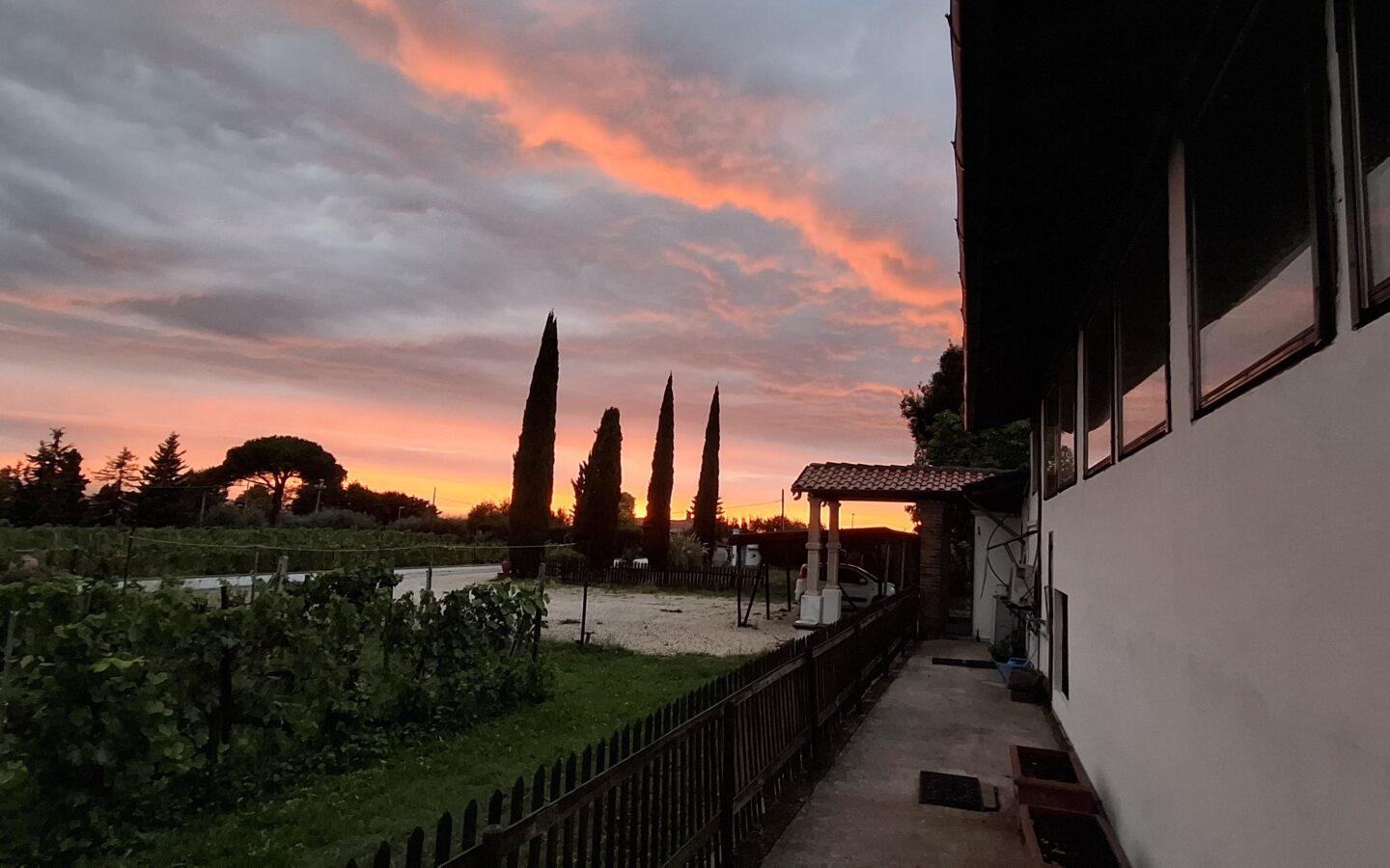 Villa Of 500 M² With Vineyard, Olive Grove And Swimming Pool In Wine Country Near Rome