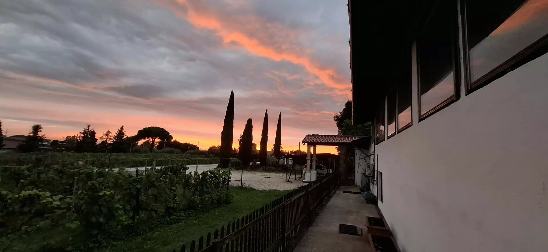 Villa Of 500 M² With Vineyard, Olive Grove And Swimming Pool In Wine Country Near Rome