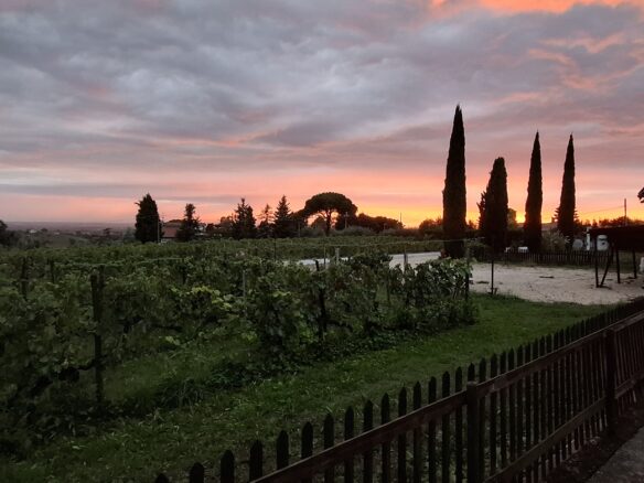 Villa Of 500 M² With Vineyard, Olive Grove And Swimming Pool In Wine Country Near Rome
