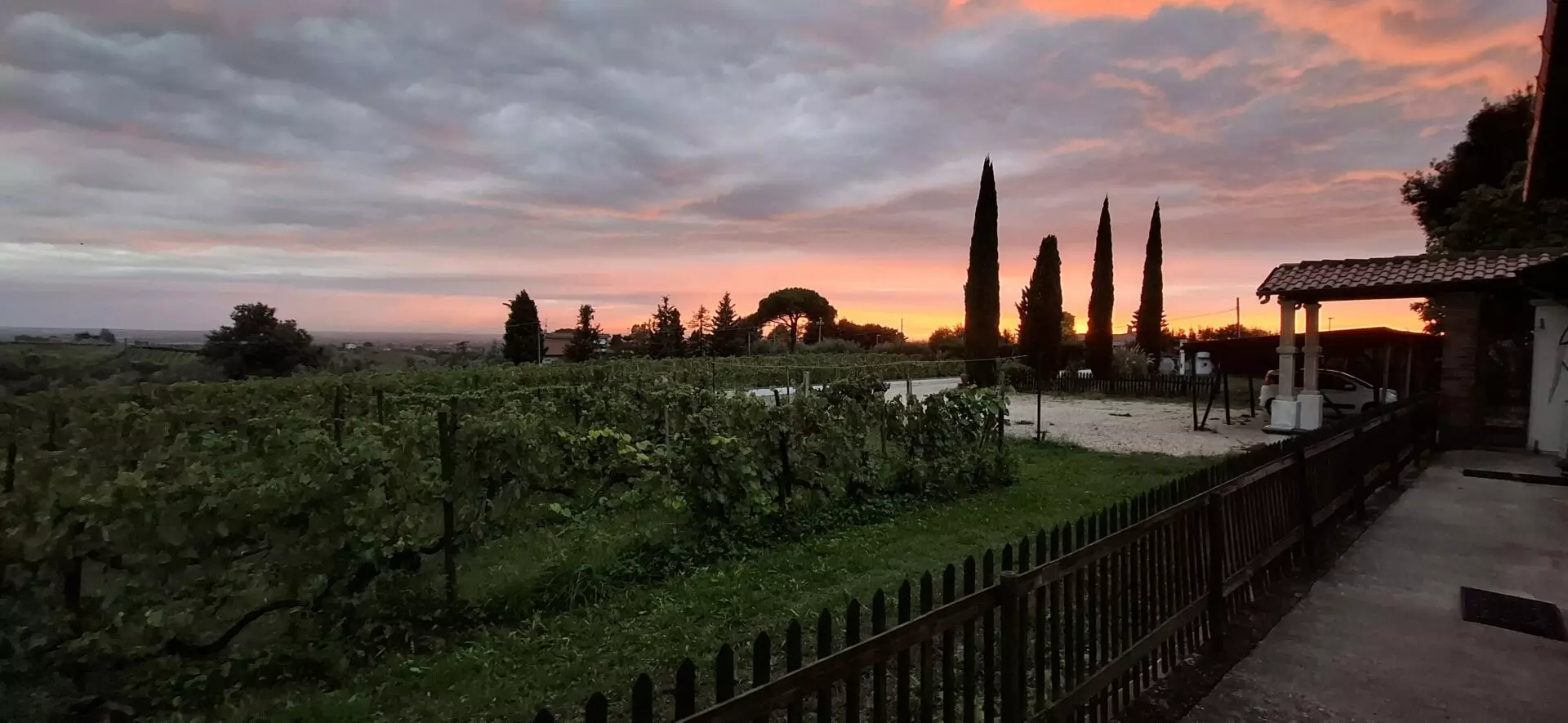 Villa Of 500 M² With Vineyard, Olive Grove And Swimming Pool In Wine Country Near Rome