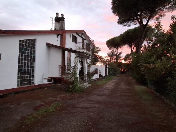 Villa Of 500 M² With Vineyard, Olive Grove And Swimming Pool In Wine Country Near Rome