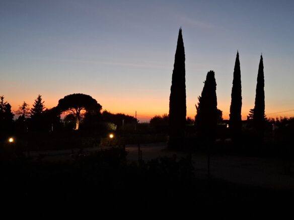 Villa Of 500 M² With Vineyard, Olive Grove And Swimming Pool In Wine Country Near Rome
