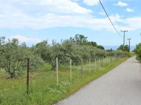 Land Of 6599 M² On The Olympic Coast