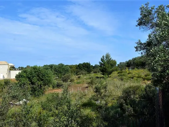 Land Of 12000 M² In Corfu
