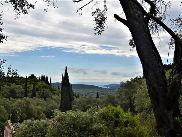 Land Of 10000 M² In Corfu