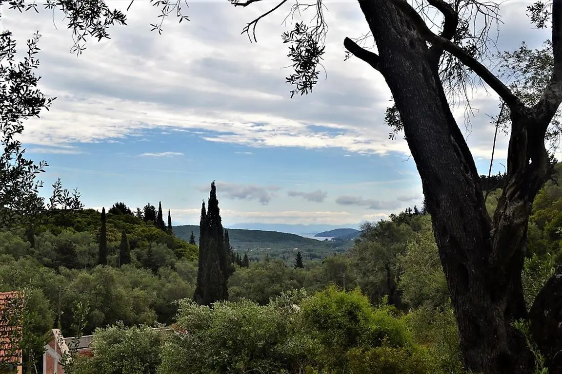 Land Of 10000 M² In Corfu