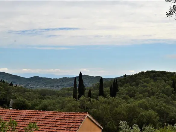 Land Of 10000 M² In Corfu