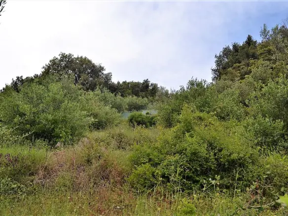 Land Of 10000 M² In Corfu