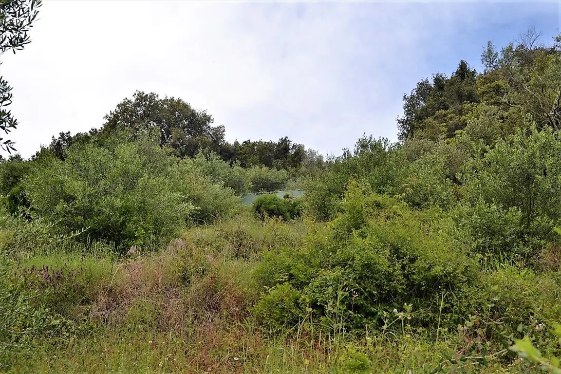 Land Of 10000 M² In Corfu
