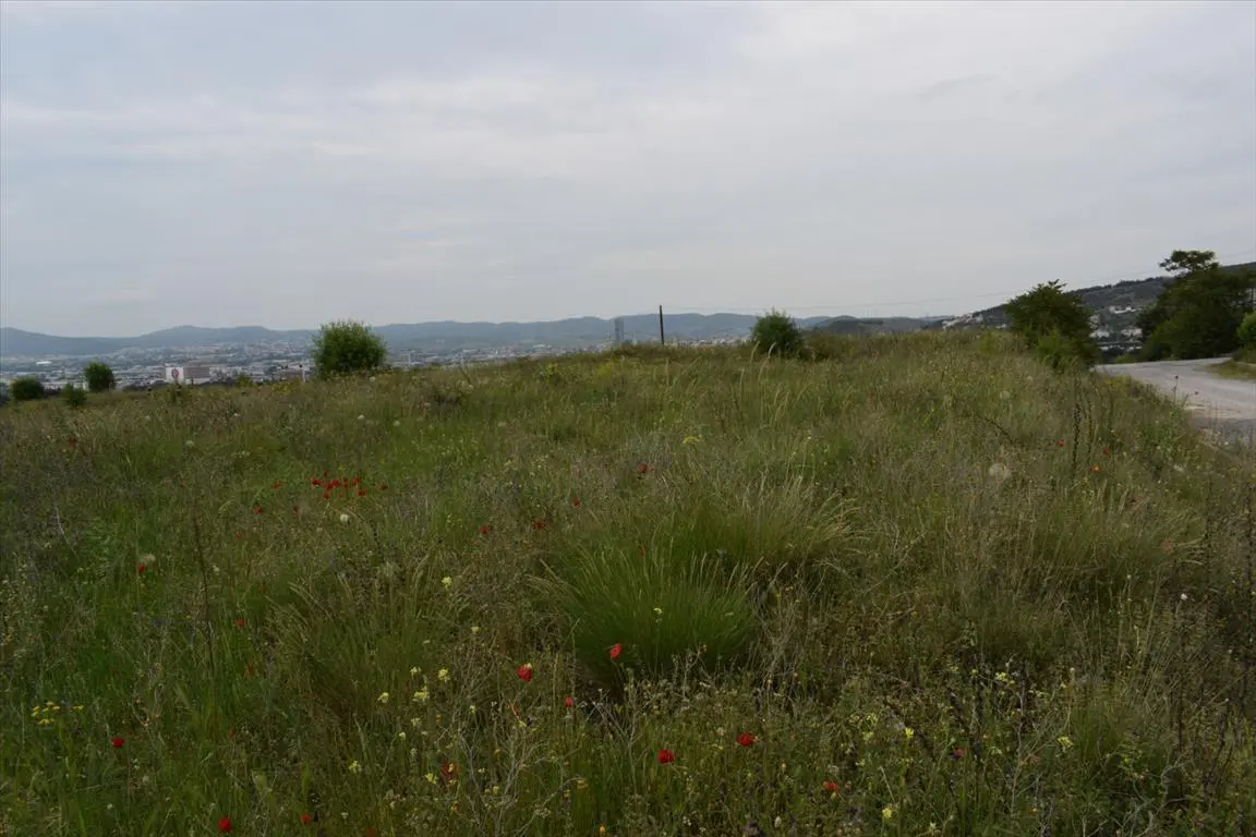 Land Of 4960 M² In Thessaloniki