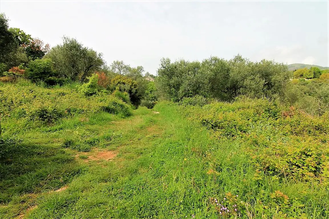 Land Of 2700 M² In Corfu
