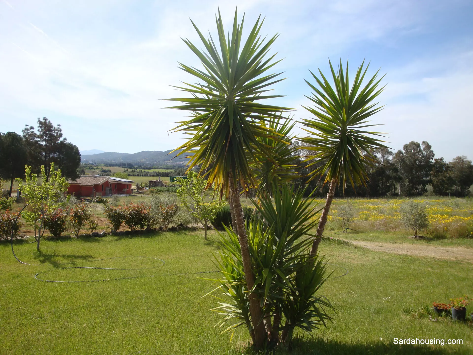 Estate Arrideli With Suitability For Eco-village Or Cohousing In Sardinia