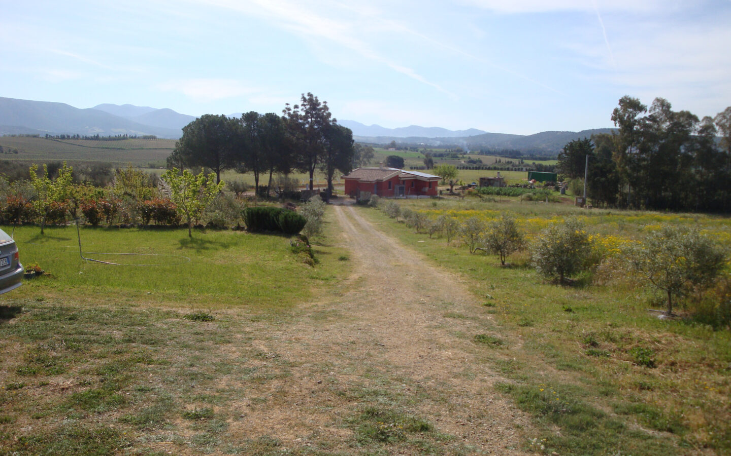 Estate Arrideli With Suitability For Eco-village Or Cohousing In Sardinia