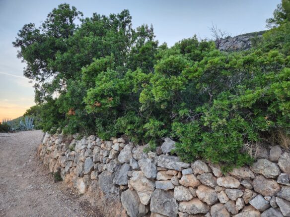 Construction Land Of 4500 M² In Komiža, Vis Island