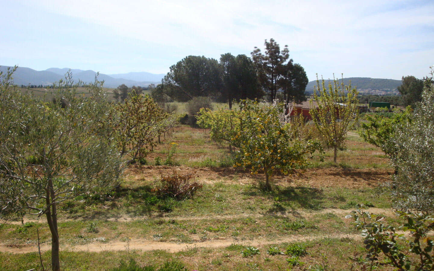 Estate Arrideli With Suitability For Eco-village Or Cohousing In Sardinia
