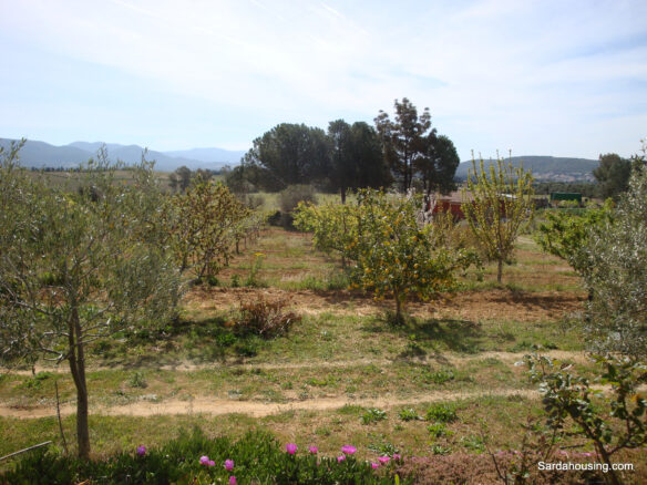 Estate Arrideli With Suitability For Eco-village Or Cohousing In Sardinia