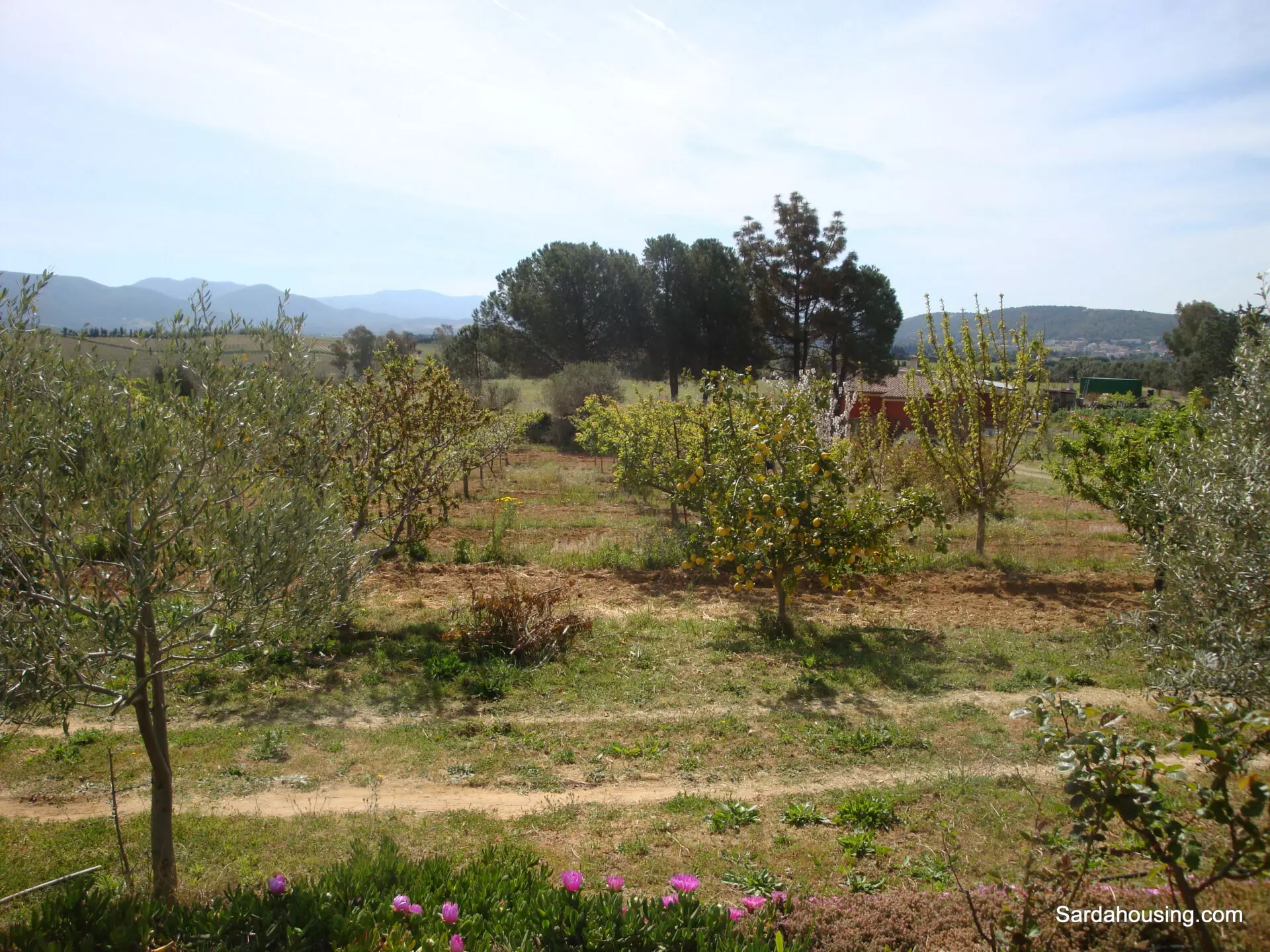 Estate Arrideli With Suitability For Eco-village Or Cohousing In Sardinia