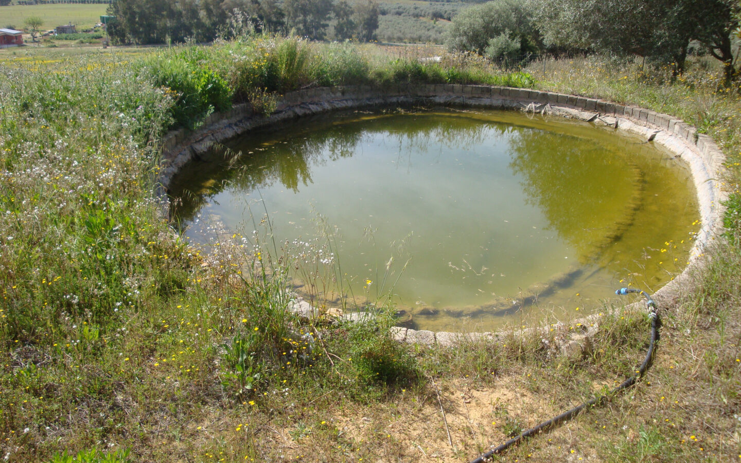 Estate Arrideli With Suitability For Eco-village Or Cohousing In Sardinia