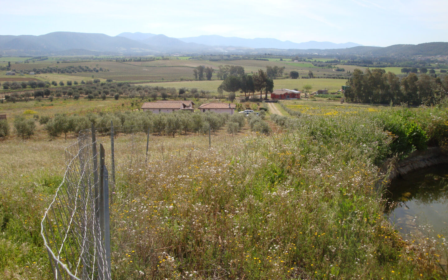 Estate Arrideli With Suitability For Eco-village Or Cohousing In Sardinia